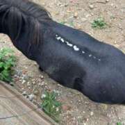 ヒメ日記 2025/09/05 16:57 投稿 うみ 制服向上委員会