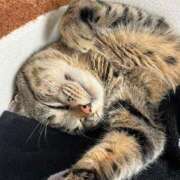 ヒメ日記 2025/09/21 20:34 投稿 うみ 制服向上委員会