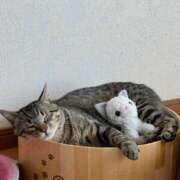 ヒメ日記 2025/09/24 04:44 投稿 うみ 制服向上委員会