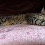 ヒメ日記 2025/09/28 04:56 投稿 うみ 制服向上委員会