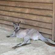 ヒメ日記 2025/10/06 04:39 投稿 うみ 制服向上委員会