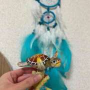 ヒメ日記 2025/10/09 05:24 投稿 うみ 制服向上委員会