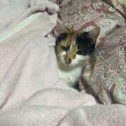 ヒメ日記 2025/10/22 16:37 投稿 うみ 制服向上委員会