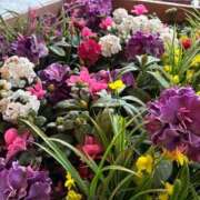 ヒメ日記 2025/11/09 17:26 投稿 うみ 制服向上委員会