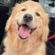 ヒメ日記 2026/01/11 13:59 投稿 うみ 制服向上委員会