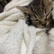 ヒメ日記 2026/01/17 13:56 投稿 うみ 制服向上委員会