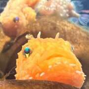 ヒメ日記 2026/01/30 19:57 投稿 うみ 制服向上委員会