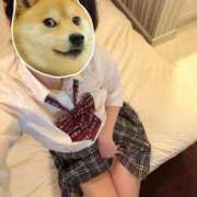 ヒメ日記 2026/04/12 00:43 投稿 うみ 制服向上委員会