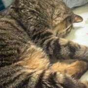 ヒメ日記 2025/06/11 22:34 投稿 羽衣-うい MSC 妄想紳士倶楽部 鶯谷店