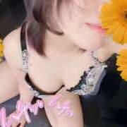 ヒメ日記 2025/07/23 10:24 投稿 羽衣-うい MSC 妄想紳士倶楽部 鶯谷店