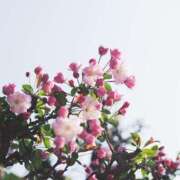 ヒメ日記 2026/02/24 07:54 投稿 矢部ひなた 断りきれない美人マッサージ嬢たち