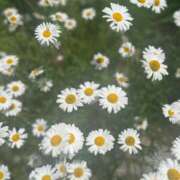 ヒメ日記 2025/07/26 18:16 投稿 陽愛莉（ひまり） NOA（ノア）