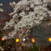 ヒメ日記 2026/04/09 19:21 投稿 陽愛莉（ひまり） NOA（ノア）
