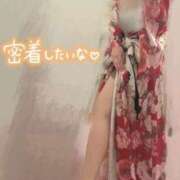 ヒメ日記 2025/07/02 15:07 投稿 るるな いざ候 本館