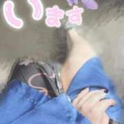 ヒメ日記 2025/10/30 15:08 投稿 るるな いざ候 本館