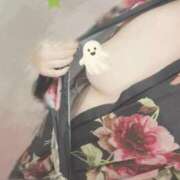 ヒメ日記 2025/10/31 20:25 投稿 るるな いざ候 本館