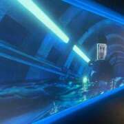 ヒメ日記 2025/05/28 13:10 投稿 京極　れん ソープランド蜜 人妻・美熟女専門店