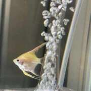 ヒメ日記 2025/07/10 10:03 投稿 京極　れん ソープランド蜜 人妻・美熟女専門店