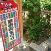 ヒメ日記 2025/07/13 17:42 投稿 京極　れん ソープランド蜜 人妻・美熟女専門店