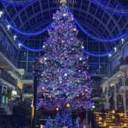 ヒメ日記 2025/11/10 00:02 投稿 京極　れん ソープランド蜜 人妻・美熟女専門店