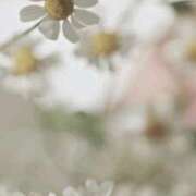 ヒメ日記 2025/12/09 10:08 投稿 京極　れん ソープランド蜜 人妻・美熟女専門店