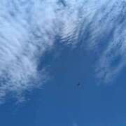 ヒメ日記 2025/06/17 17:30 投稿 ちあき TSUBAKI(ツバキ)