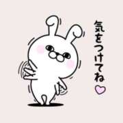 ヒメ日記 2025/06/24 08:30 投稿 ちあき TSUBAKI(ツバキ)