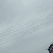 ヒメ日記 2025/06/24 12:26 投稿 ちあき TSUBAKI(ツバキ)