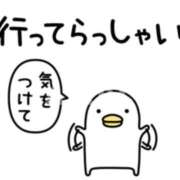 ヒメ日記 2025/06/27 08:02 投稿 ちあき TSUBAKI(ツバキ)