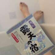 ヒメ日記 2025/06/29 08:30 投稿 ちあき TSUBAKI(ツバキ)