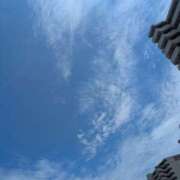 ヒメ日記 2025/06/29 14:11 投稿 ちあき TSUBAKI(ツバキ)