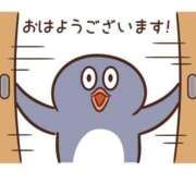 ヒメ日記 2025/06/30 08:30 投稿 ちあき TSUBAKI(ツバキ)