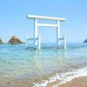 ヒメ日記 2025/06/30 08:45 投稿 ちあき TSUBAKI(ツバキ)