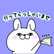 ヒメ日記 2025/07/01 08:15 投稿 ちあき TSUBAKI(ツバキ)