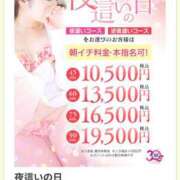 ヒメ日記 2025/07/08 15:00 投稿 ちあき TSUBAKI(ツバキ)