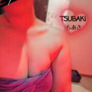 ヒメ日記 2025/07/19 16:13 投稿 ちあき TSUBAKI(ツバキ)