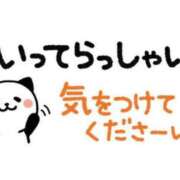 ヒメ日記 2025/07/22 06:30 投稿 ちあき TSUBAKI(ツバキ)