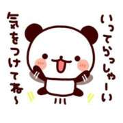 ヒメ日記 2025/07/24 09:11 投稿 ちあき TSUBAKI(ツバキ)