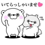 ヒメ日記 2025/07/25 10:15 投稿 ちあき TSUBAKI(ツバキ)