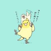 ヒメ日記 2025/08/26 08:53 投稿 ちあき TSUBAKI(ツバキ)