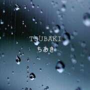 ヒメ日記 2025/09/10 18:30 投稿 ちあき TSUBAKI(ツバキ)