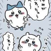 ヒメ日記 2025/11/24 09:46 投稿 ちあき TSUBAKI(ツバキ)