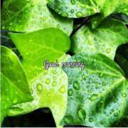 ヒメ日記 2025/11/26 09:29 投稿 ちあき TSUBAKI(ツバキ)