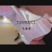 ヒメ日記 2026/03/11 05:21 投稿 ちあき TSUBAKI(ツバキ)