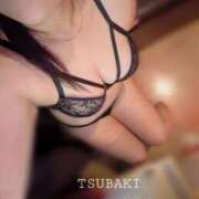 ヒメ日記 2026/03/31 17:30 投稿 ちあき TSUBAKI(ツバキ)