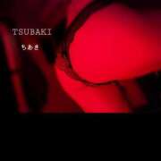 ヒメ日記 2026/04/05 20:45 投稿 ちあき TSUBAKI(ツバキ)