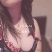 ヒメ日記 2026/04/06 10:18 投稿 ちあき TSUBAKI(ツバキ)