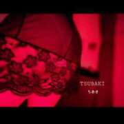 ヒメ日記 2026/04/08 01:15 投稿 ちあき TSUBAKI(ツバキ)