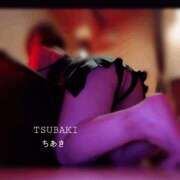 ヒメ日記 2026/04/13 00:30 投稿 ちあき TSUBAKI(ツバキ)