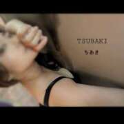 ヒメ日記 2026/05/08 00:30 投稿 ちあき TSUBAKI(ツバキ)